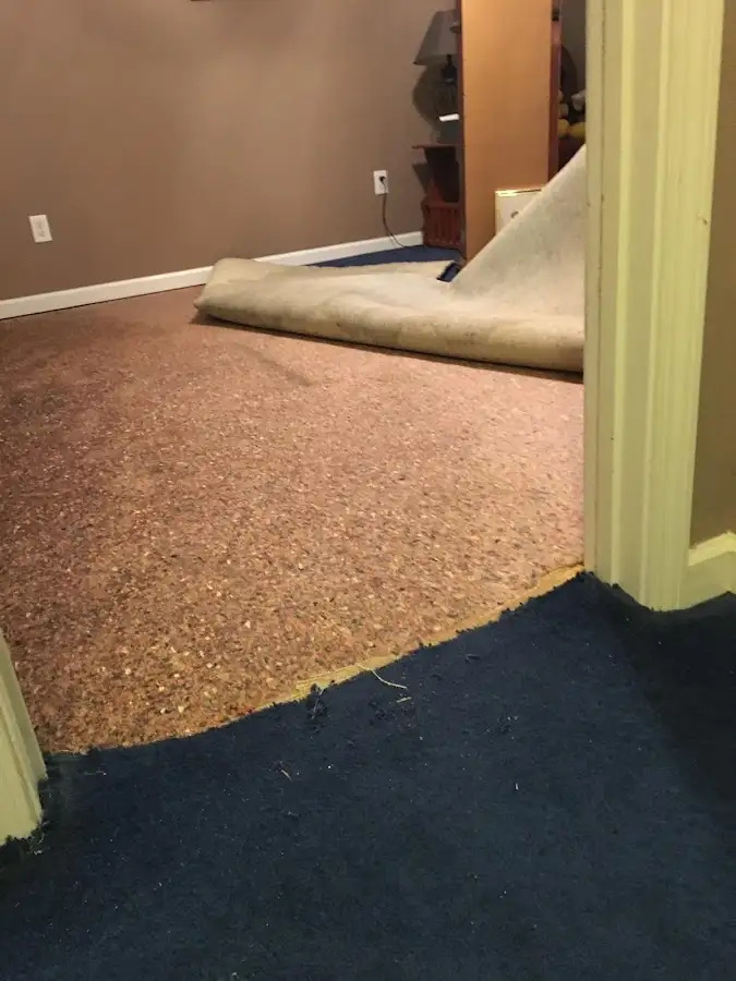 Carpet pad removal revealing water damage during Drying & Dehumidification in Howland Center