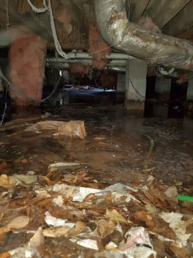 Crawl space flood assessment for Commercial Water Damage Restoration in Howland Center