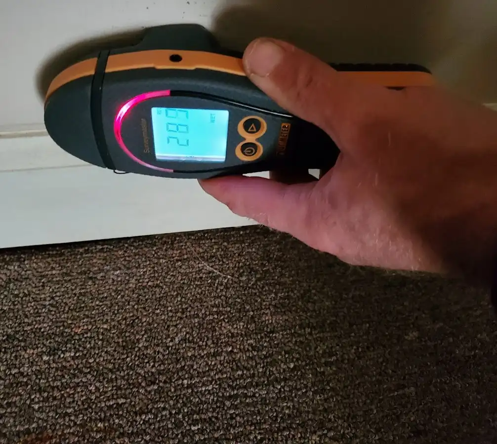Moisture detection at baseboard during Sewage Cleanup & Sanitation in Howland Center